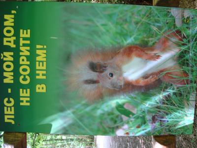 Прикрепленное изображение: DSC09861.JPG